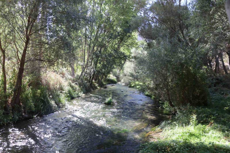 Ihlara Vadisi Yüzlerce Bitki Ve Canlıya Ev Sahipliği Yapıyor