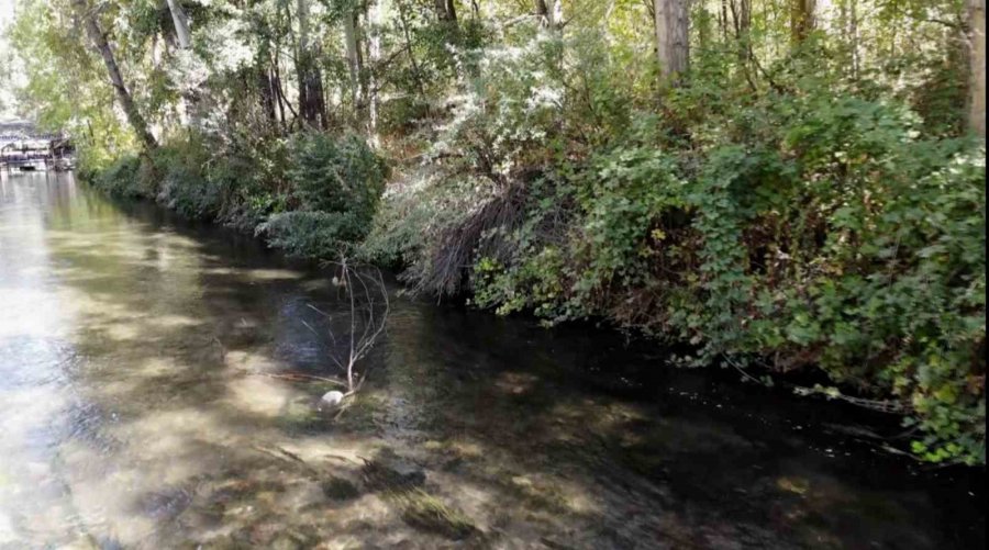 Ihlara Vadisi Yüzlerce Bitki Ve Canlıya Ev Sahipliği Yapıyor