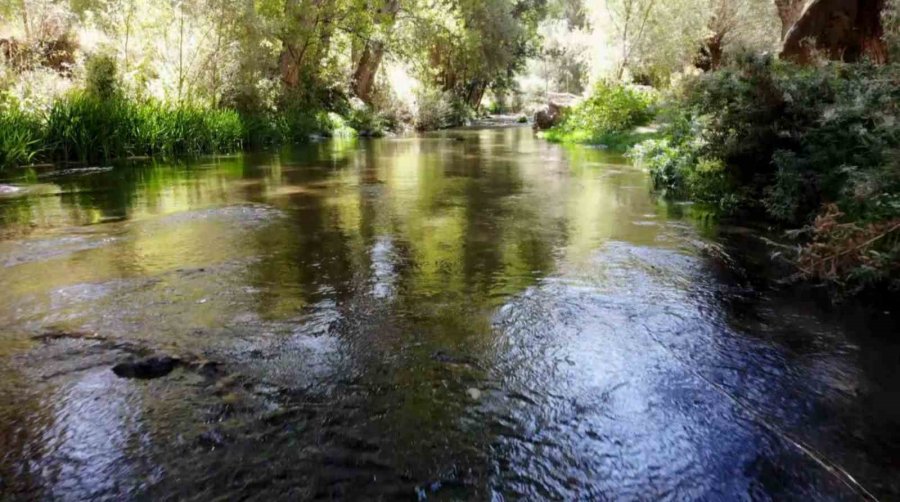 Ihlara Vadisi Yüzlerce Bitki Ve Canlıya Ev Sahipliği Yapıyor