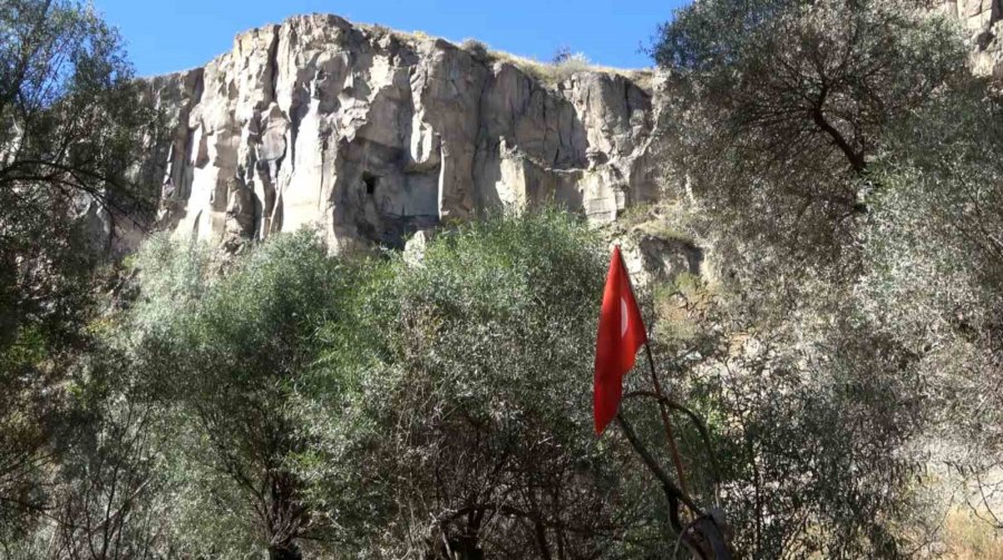 Ihlara Vadisi Yüzlerce Bitki Ve Canlıya Ev Sahipliği Yapıyor