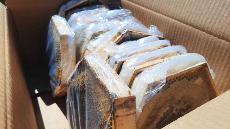 2 Bin 500 Metre Rakımda Sahiplendirilen Kovanlardaki Ballar Hasat Edildi