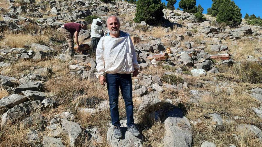 2 Bin 500 Metre Rakımda Sahiplendirilen Kovanlardaki Ballar Hasat Edildi