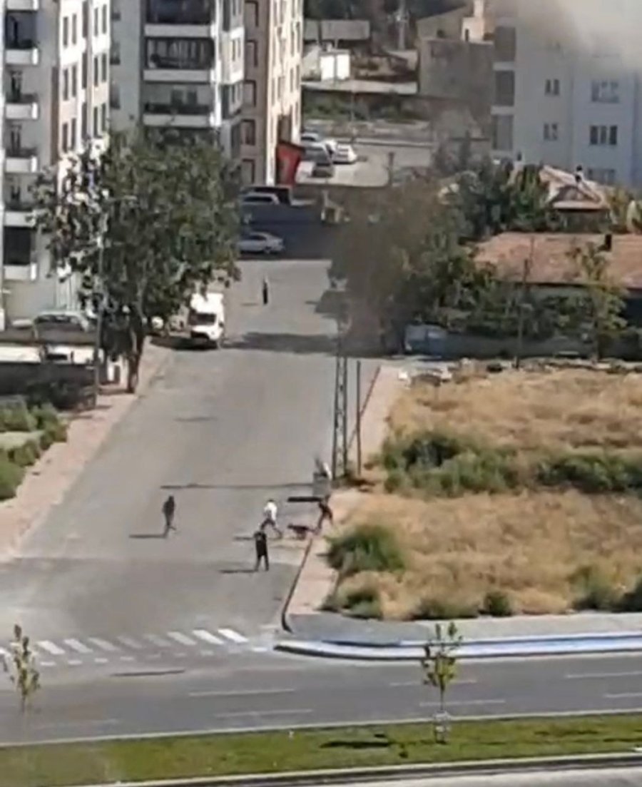 Dehşet Anları Kamerada: Köpek Gence Böyle Saldırdı