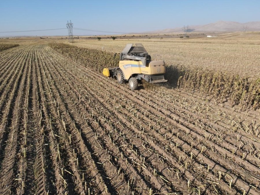 Ayçiçeği Hasadı Tomarzalı Üreticilerin Yüzünü Güldürdü