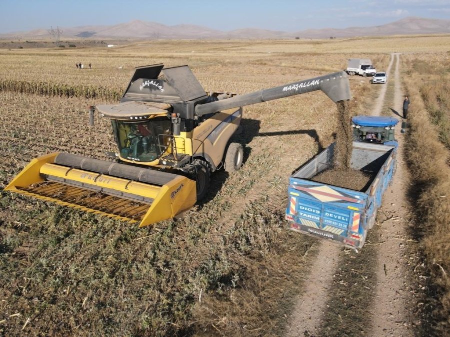 Ayçiçeği Hasadı Tomarzalı Üreticilerin Yüzünü Güldürdü