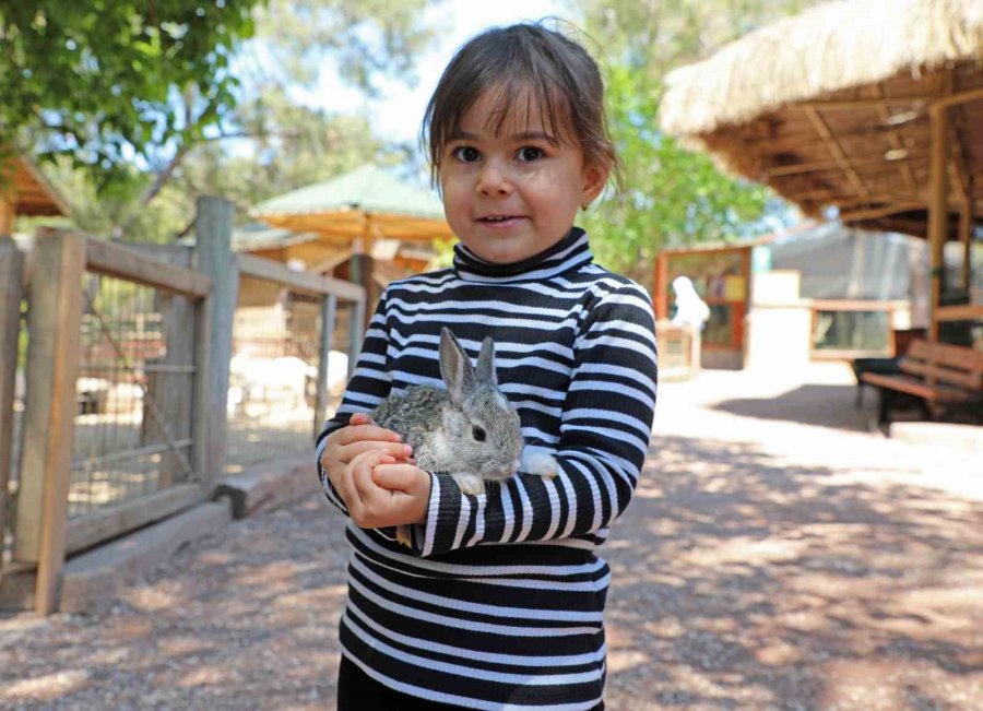 Antalya Doğal Yaşam Parkı 4 Ekim’de Ücretsiz