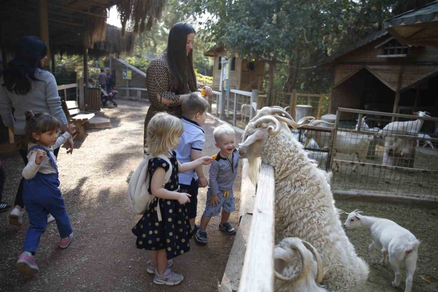 Antalya Doğal Yaşam Parkı 4 Ekim’de Ücretsiz