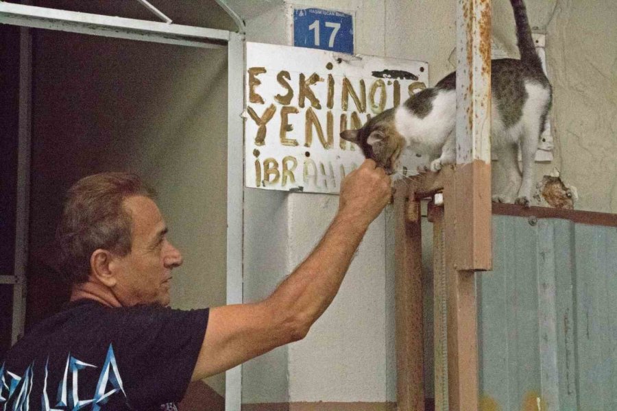 Yangında 6 Yavrusunu Kaybedip Günlerce Enkazdan Ayrılmayan Kedi, Annesiz Kalan Yavruyu Sahiplendi