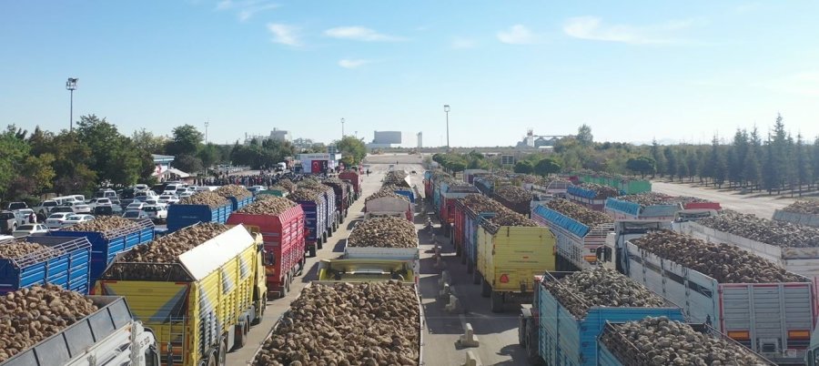 Konya Şeker’den 180 Milyon 281 Bin Tl Pancar Söküm Avansı