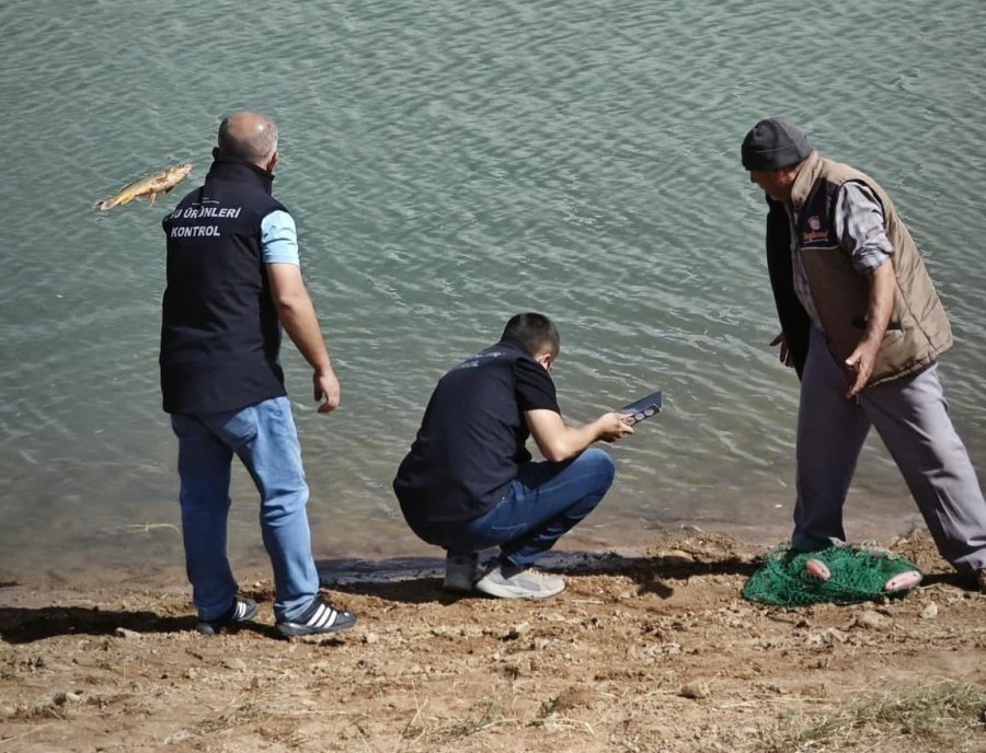 Beyşehir’de Balık İşleme Tesisleri Ve Balıkçı Tekneleri Denetlendi