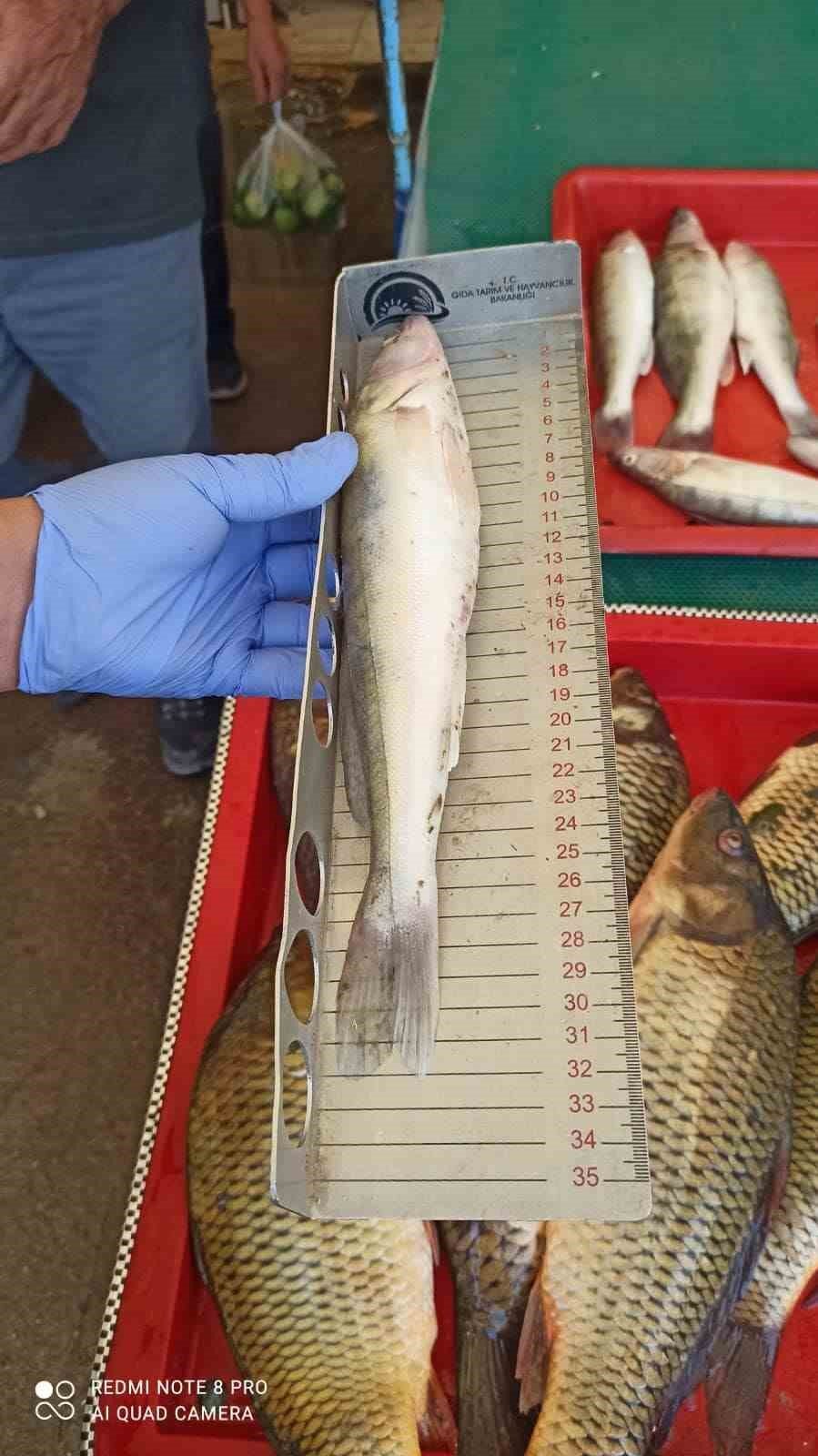 Beyşehir’de Balık İşleme Tesisleri Ve Balıkçı Tekneleri Denetlendi