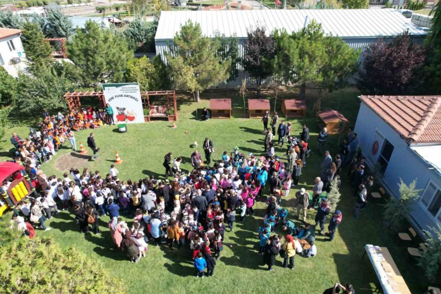 Başkan Özdemir: “rehabilite Edilen Hayvanlara En İyi Hizmeti Sunmanın Gayreti İçerisindeyiz”