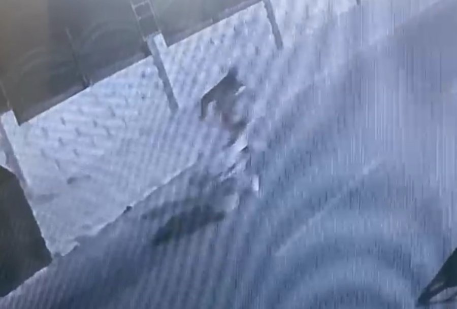 Güvenlik Kamerasına Yakalanan Hırsız Tutuklandı