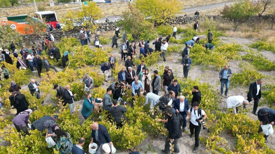 Aksaray’da 2. Geleneksel Bağ Bozumu Ve Pekmez Festivali