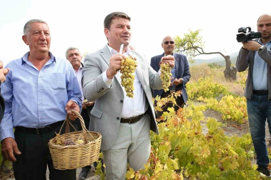 Aksaray’da 2. Geleneksel Bağ Bozumu Ve Pekmez Festivali