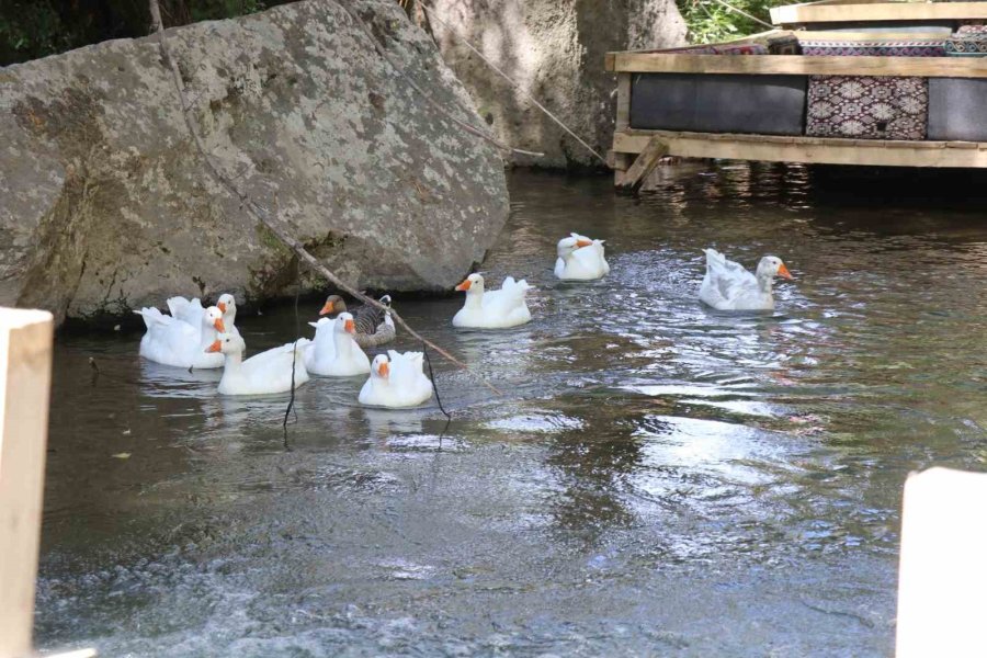Burası Tayland Değil, Aksaray’ın Ihlara Vadisi
