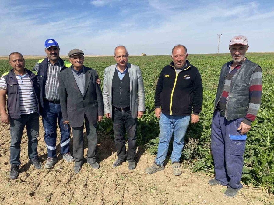 Kulu’da Pancar Hasadı Başladı