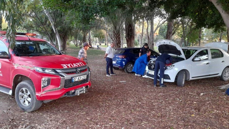 Otomobilin Motor Kısmına Giren Yavru Kedi, 3 Saatte Çıkarılabildi