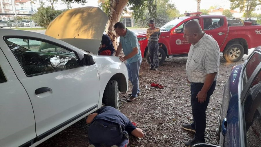 Otomobilin Motor Kısmına Giren Yavru Kedi, 3 Saatte Çıkarılabildi