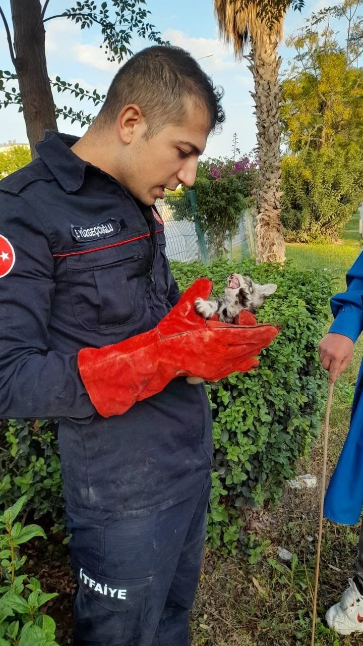 Otomobilin Motor Kısmına Giren Yavru Kedi, 3 Saatte Çıkarılabildi