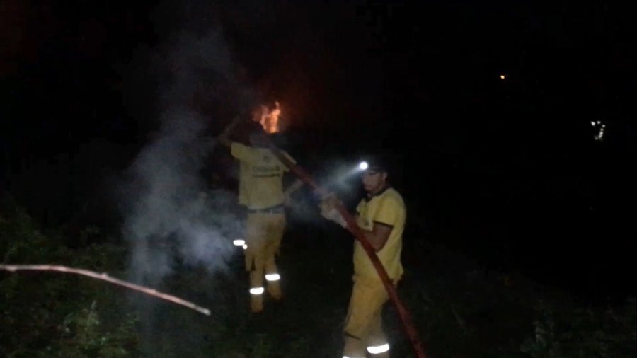 Sazlık Alanda Korkutan Yangın, Ormancılar İle İtfaiye Müdahale Etti