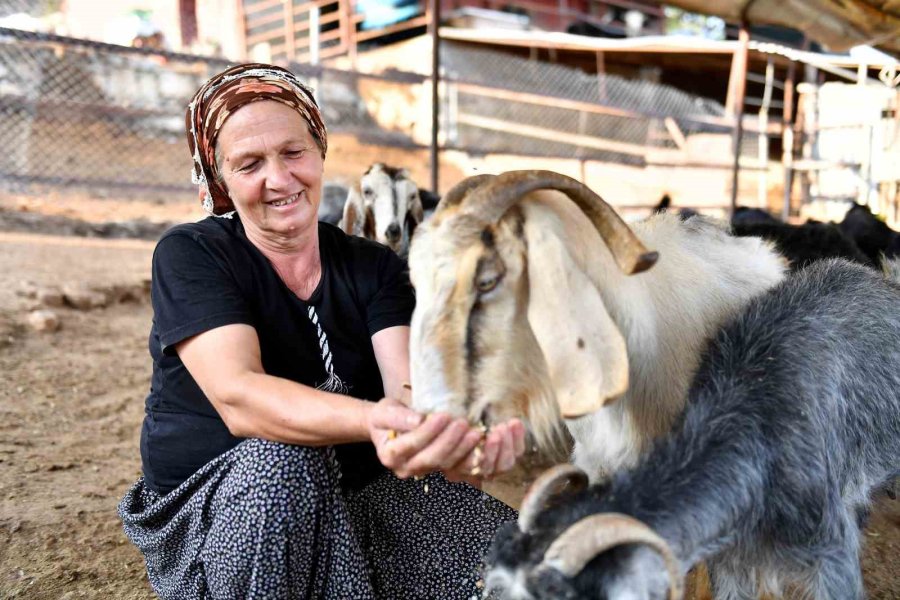 Mersin Büyükşehir Belediyesi Kadın Üreticiye Desteğini Dürdürüyor