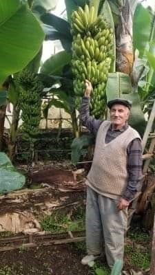 Mersin’de 82 Yaşındaki Yaşlı Adamdan 2 Gündür Haber Alınamıyor
