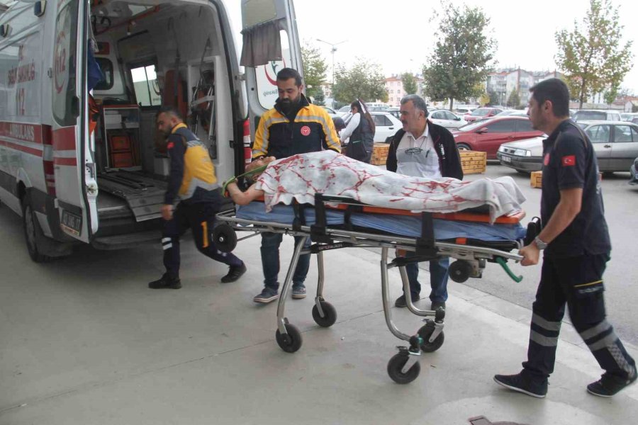 Konya’da Ceviz Ağacından Düşen 3 Kişi Yaralandı