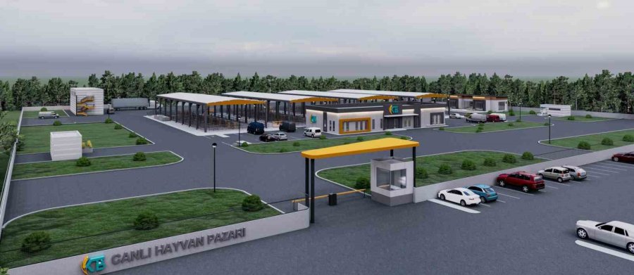 İç Anadolu’nun En Büyük Canlı Hayvan Borsası Kayseri’de Açılıyor