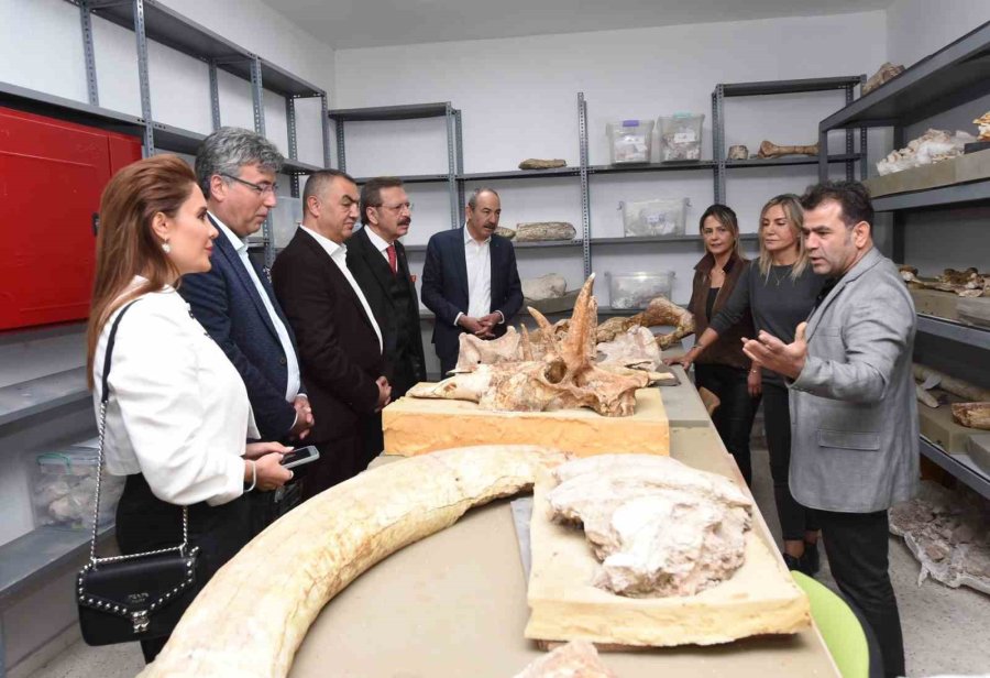 Paleontoloji Müzesi İlgi Çekmeye Devam Ediyor