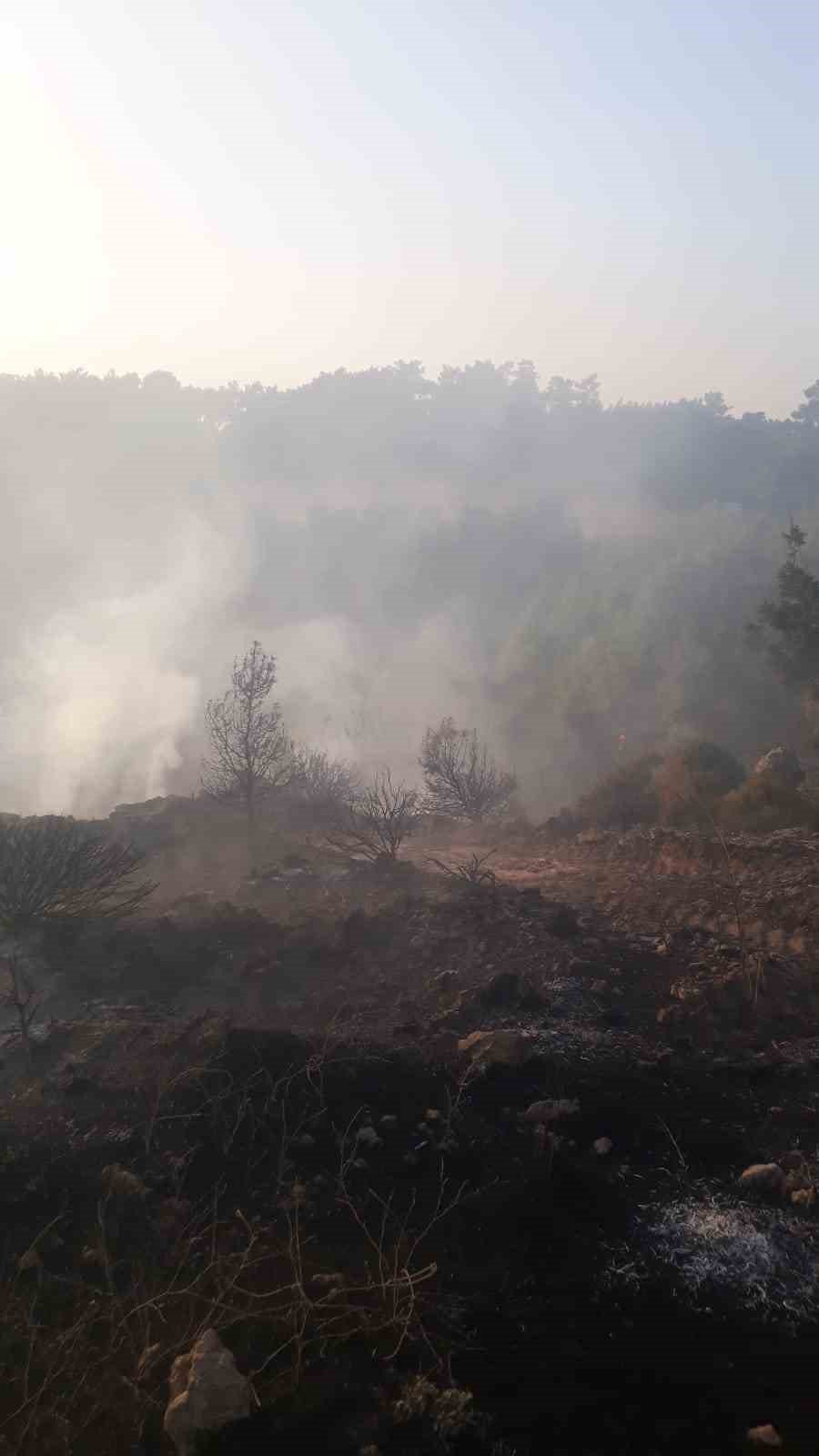 Aksu’da Çıkan Orman Yangını Söndürüldü
