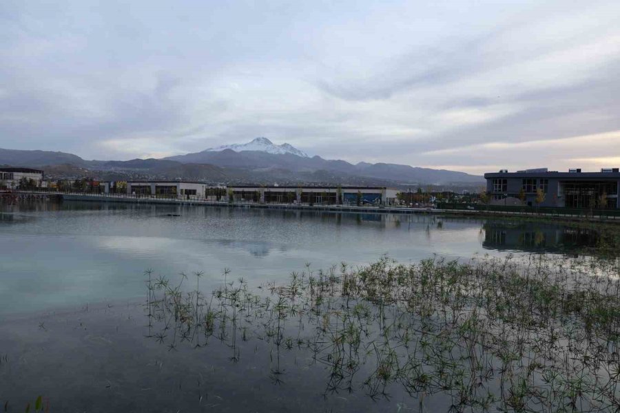 Recep Tayyip Erdoğan Millet Bahçesi Kapılarını Gastronomi Günleri İle Açıyor