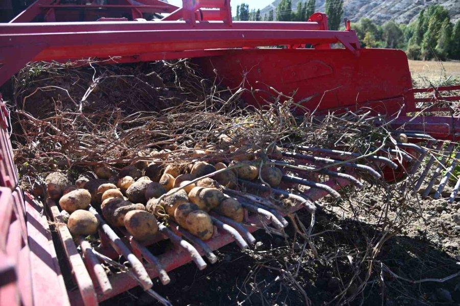 Selçuklu Belediyesi Tarımsal Üretime Katkı Sağlamaya Devam Ediyor