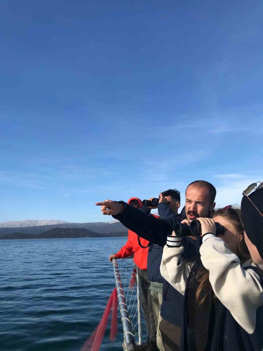 Beyşehir Gölü’ndeki Adada Kuş Gözlem Etkinliği