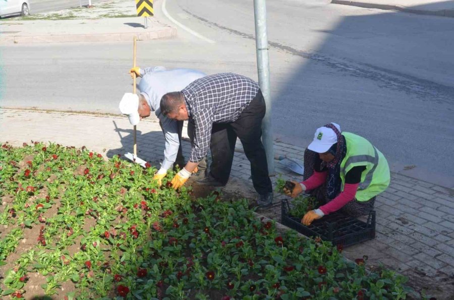 Ereğli Belediyesi Çevre Düzenleme Çalışmalarını Sürdürüyor