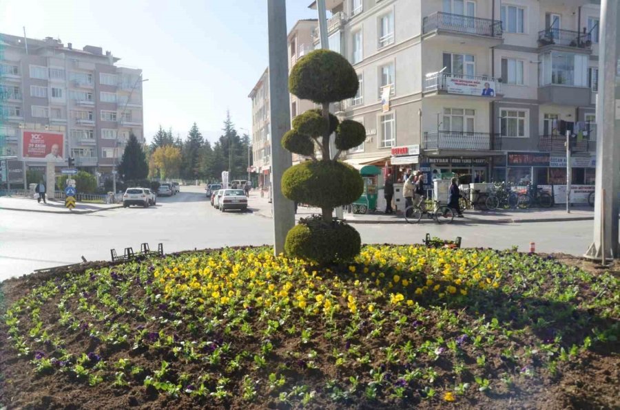 Ereğli Belediyesi Çevre Düzenleme Çalışmalarını Sürdürüyor
