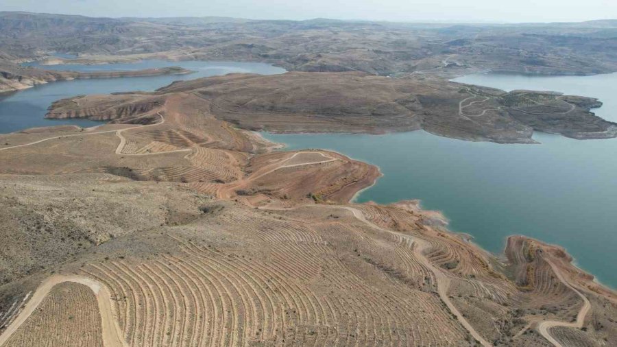 Vali Çiçek: “yamula Barajı Mavi İle Yeşilin Buluştuğu Cazibe Merkezi Olacak”