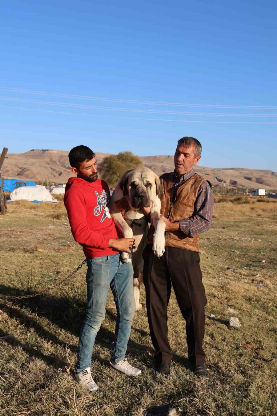 Aksaray Malaklı Köpeği Dünyaya Açıldı