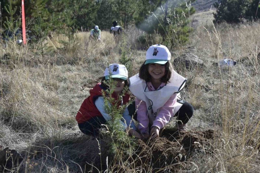 Tomarza’da Fidanlar Toprakla Buluştu