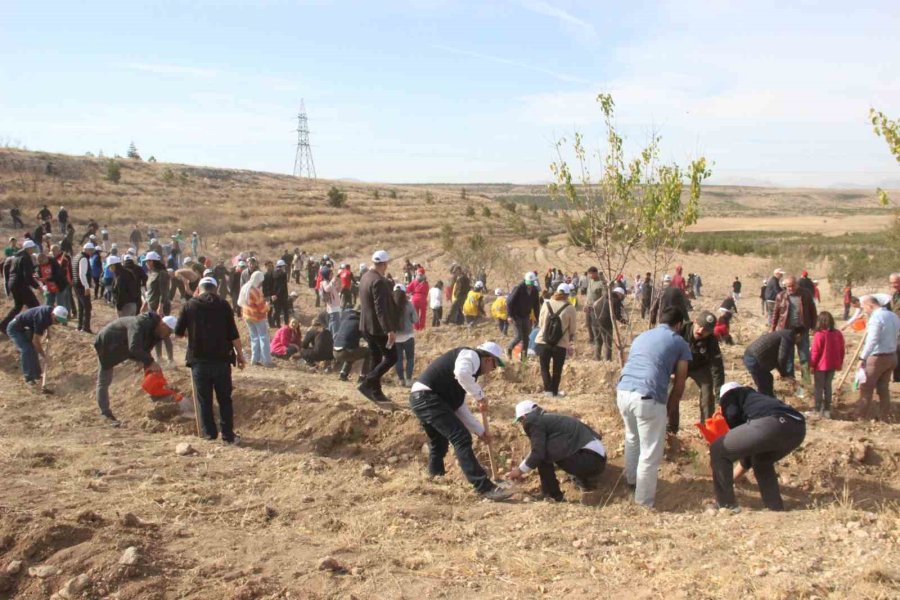 Karaman’da ‘milli Ağaçlandırma Günü’nde 5 Bin Fidan Toprakla Buluşturuldu
