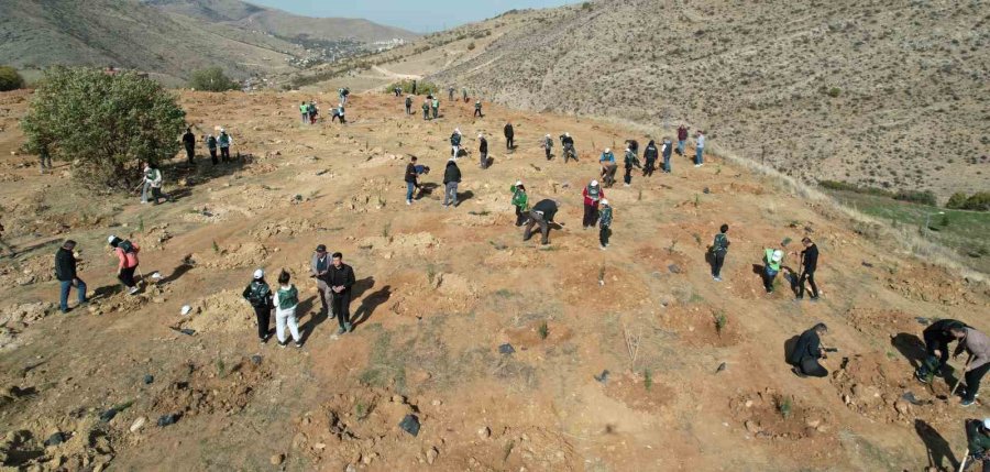 Yahyalı’da Binlerce Fidan Toprakla Buluştu