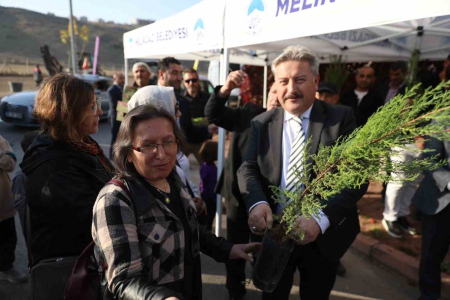 Başkan Palancıoğlu: "fidan Değil Ağaç Dikiyoruz"
