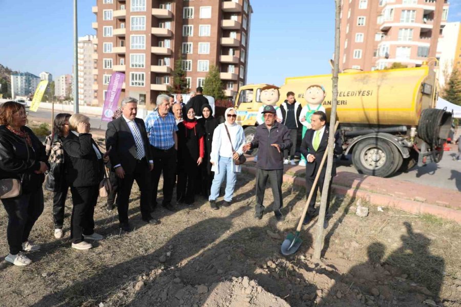 Başkan Palancıoğlu: "fidan Değil Ağaç Dikiyoruz"