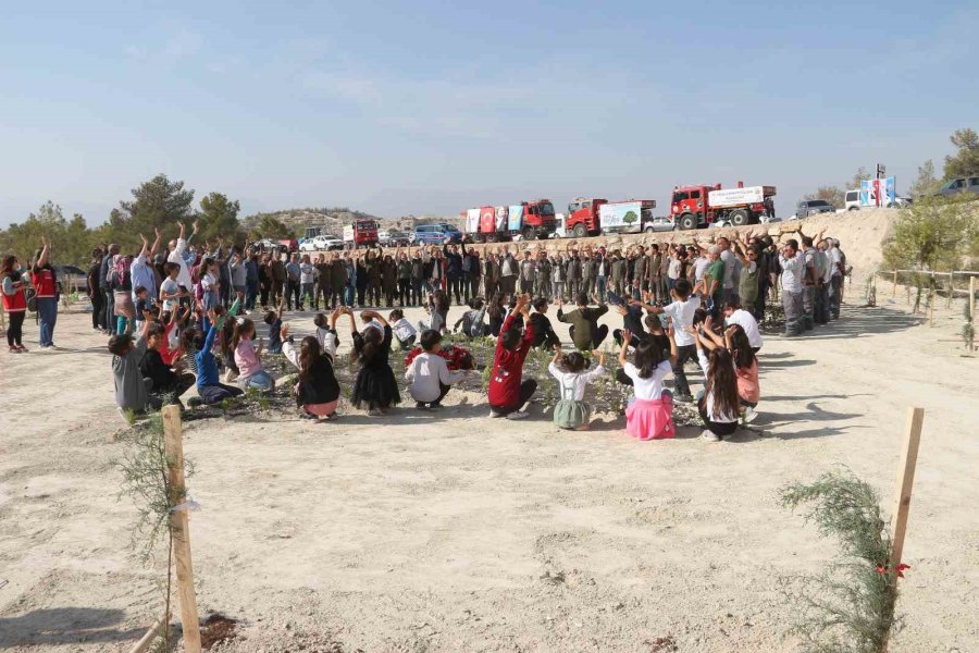 Mersin’de 2023 Metrekare Alana 16 Türk Devleti İçin 16 Ayrı Tür Fidan Dikildi