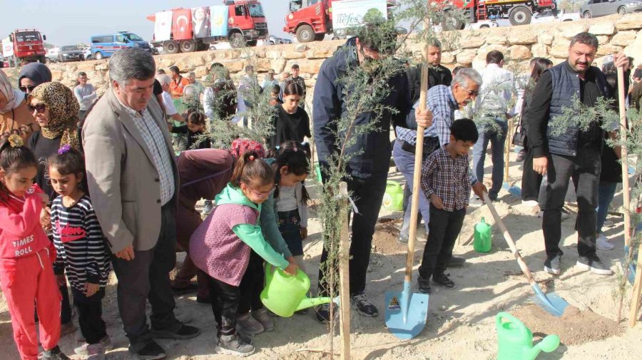 Mersin’de 2023 Metrekare Alana 16 Türk Devleti İçin 16 Ayrı Tür Fidan Dikildi