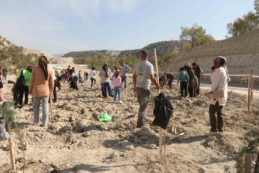 Mersin’de 2023 Metrekare Alana 16 Türk Devleti İçin 16 Ayrı Tür Fidan Dikildi