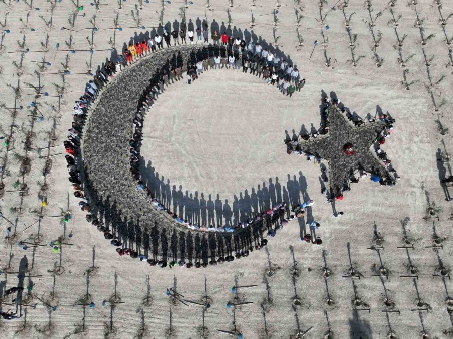 Mersin’de 2023 Metrekare Alana 16 Türk Devleti İçin 16 Ayrı Tür Fidan Dikildi