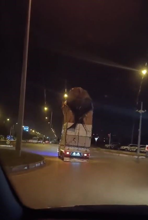 Eve Değil, Kamyonete 4 Kat Çıktı: Görenler Hayrete Düştü