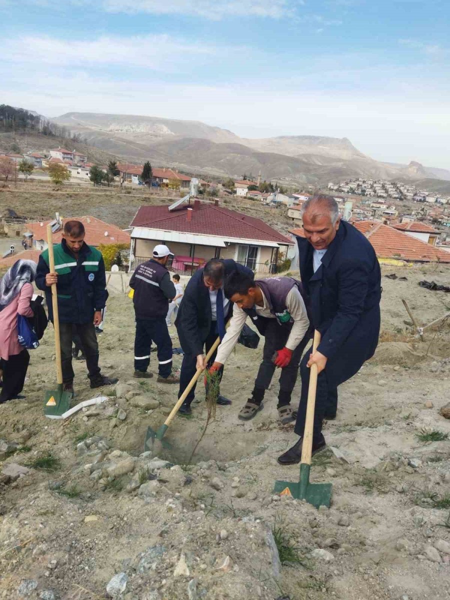 Büyükşehir, Ağaçlandırma Çalışmasına Yeşilhisar İle Devam Etti