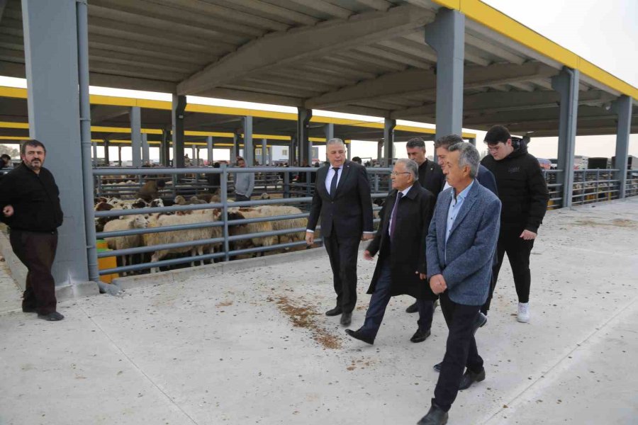 Başkan Büyükkılıç, Canlı Hayvan Pazarı’nda Sıkı Pazarlığa Katıldı